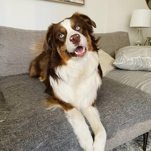 Fundraising Page: Zrinka Posavcevic